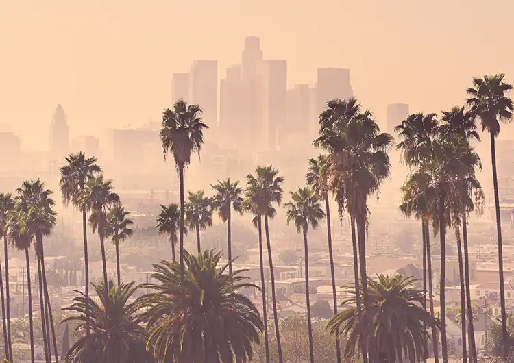 LA Smog and Indoor Air Quality