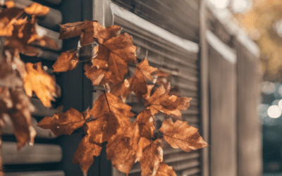 Why October is the Perfect Time for HVAC Maintenance in LA