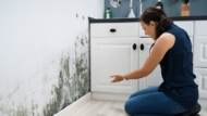 Mold vs. Mildew: What’s the Difference and Why It Matters