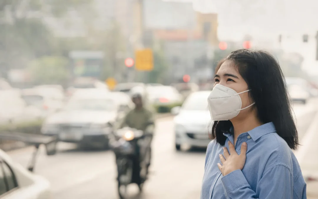 Los Angeles Wildfire Smoke Air Quality: What Homeowners Should Do